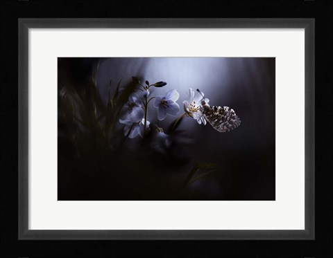 Framed In Your Dreams, Everything Is Alright Print