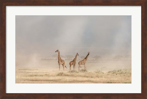 Framed Weathering The Amboseli Dust Devils Print