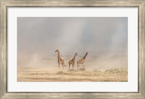 Framed Weathering The Amboseli Dust Devils Print