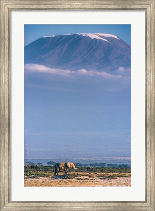 Framed Kilimanjaro And The Quiet Sentinels Print