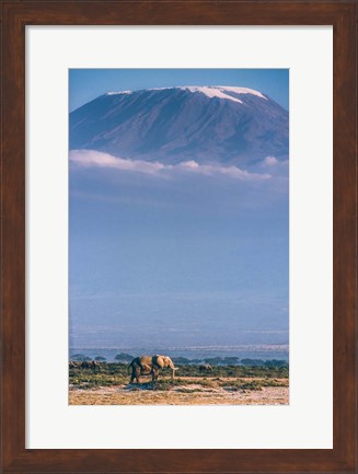 Framed Kilimanjaro And The Quiet Sentinels Print