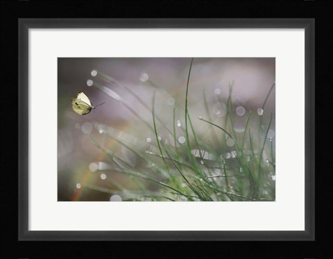 Framed Imminent Landing Print