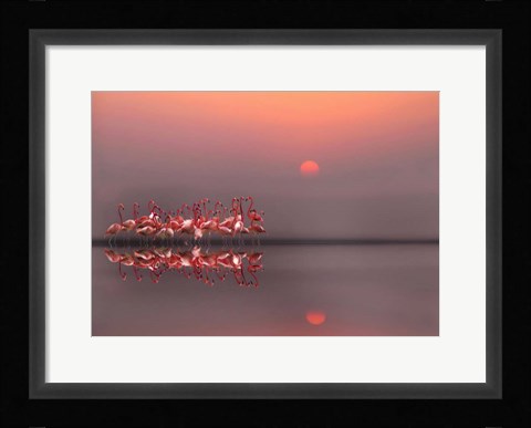 Framed Purple Sunset Print