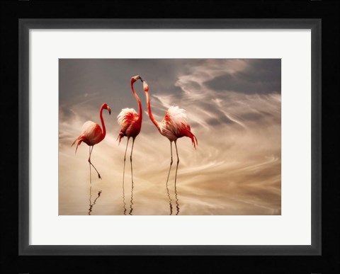 Framed Fighting Print