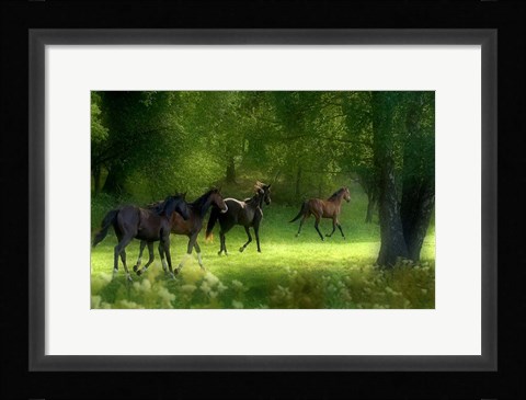 Framed Running Horses Print
