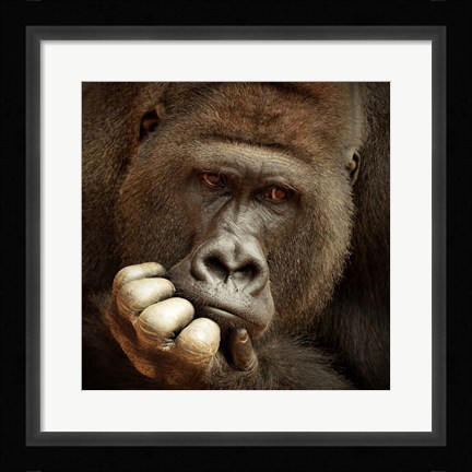 Framed Sense Of Life Print