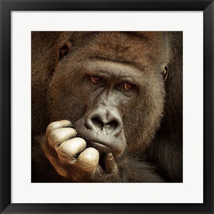 Framed Sense Of Life Print