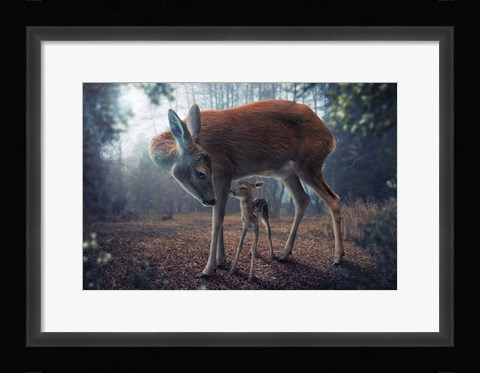 Framed Mother And Fawn Print