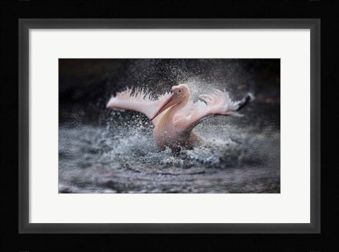 Framed Bathing Fun Print