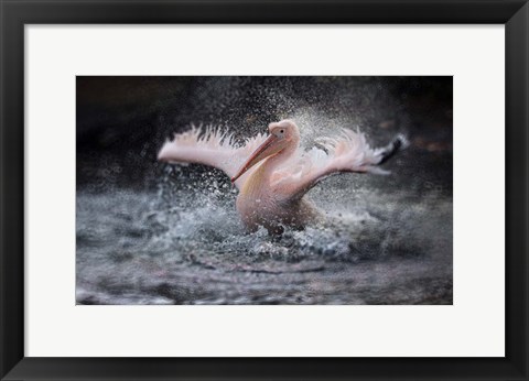 Framed Bathing Fun Print