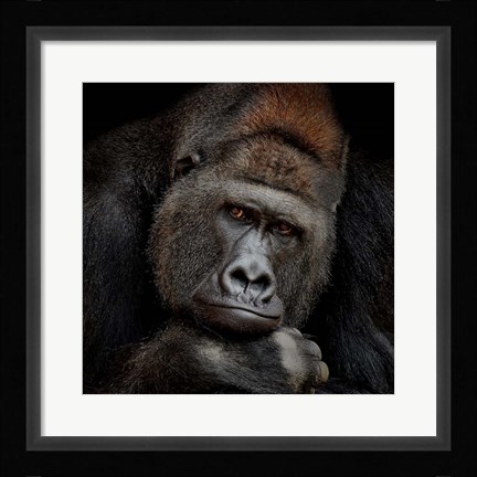 Framed One Moment in Contact Print