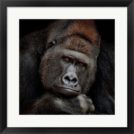 Framed One Moment in Contact Print