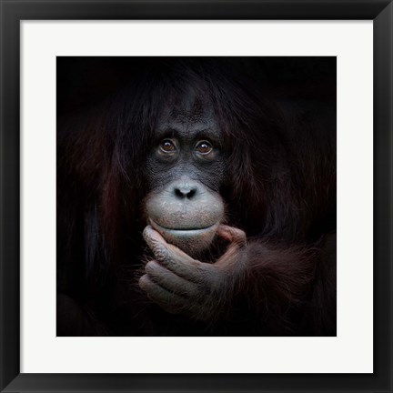 Framed Mirror Image Print