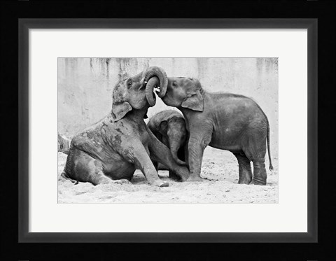 Framed Manage A Trois Print