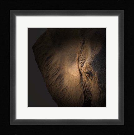 Framed Gentle Giant Print