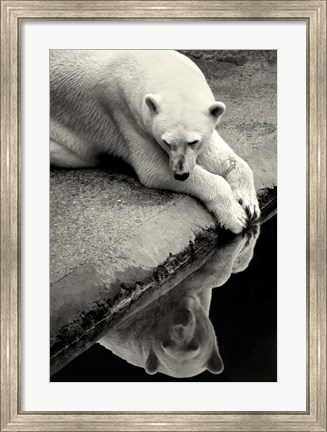 Framed Who Is That Beauty In The Water Print