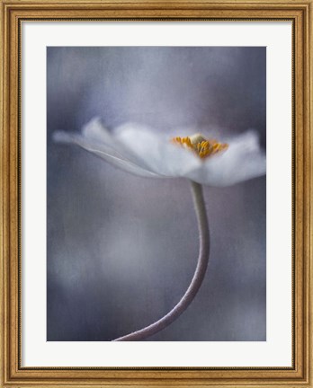 Framed Beauty Within Print