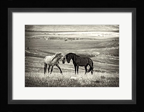 Framed Close Encounter Print
