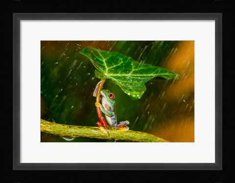 Framed Ohh Noo It's Raining Print