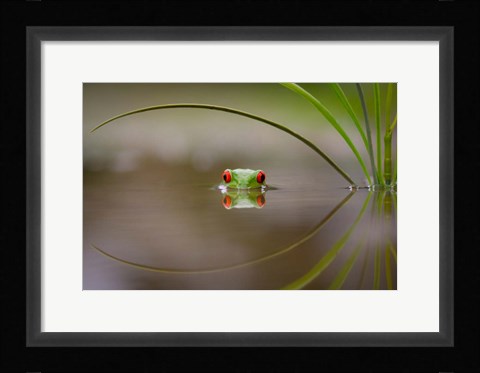 Framed Beauty Of Reflection Print