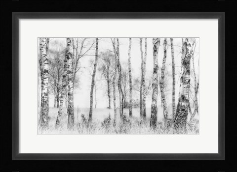 Framed Black And White Print