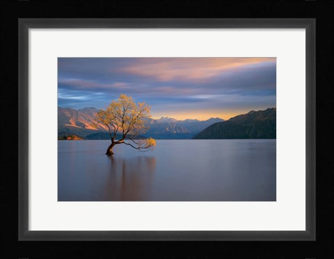 Framed Morning Glow Print