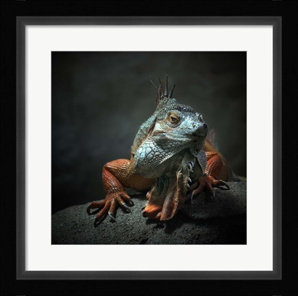 Framed I Am The King, Who Else! Print