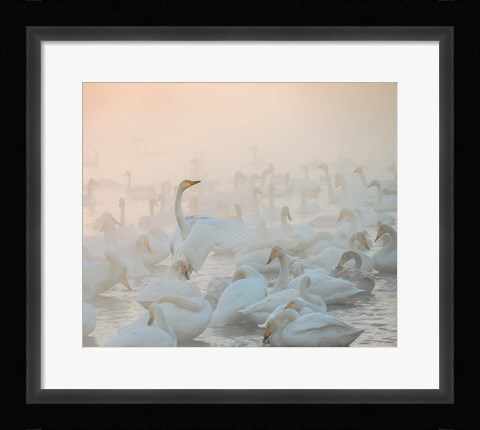 Framed Song Of The Morning Light Print