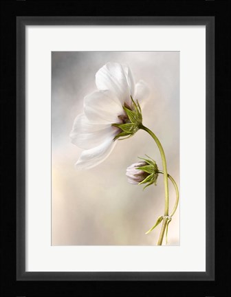 Framed Heavenly Cosmos Print