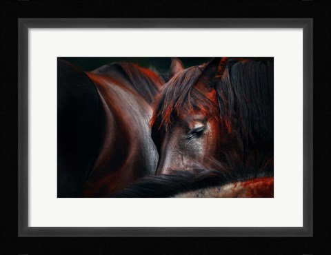 Framed Sleep Huddle Print