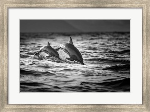 Framed Mother And The Baby Print