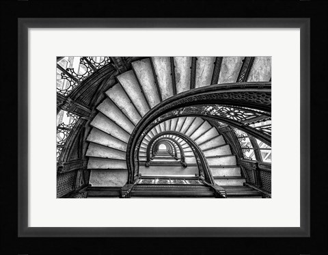 Framed Rookery Print