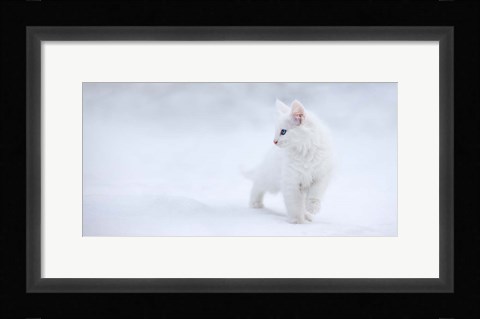 Framed White As Snow Print