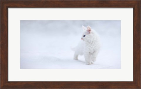 Framed White As Snow Print