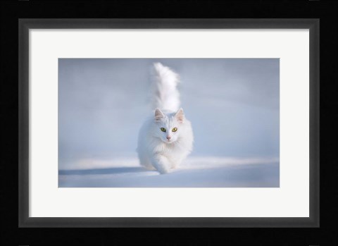Framed Yellow Eyes Print