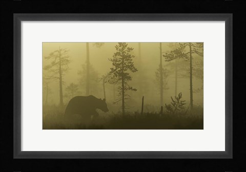 Framed Morning Fog Print
