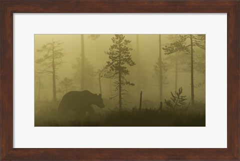 Framed Morning Fog Print