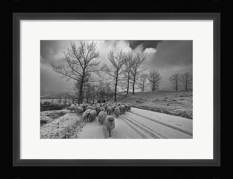 Framed Pastoral Print