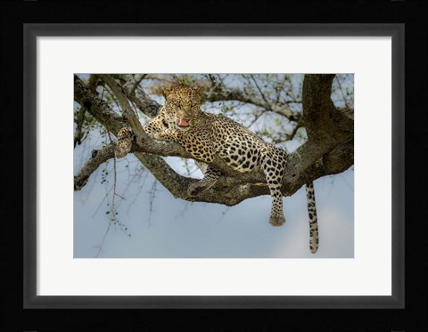 Framed How Tasty You Are! Print