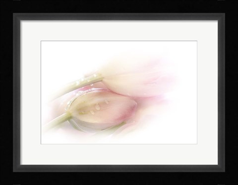 Framed Touching Print