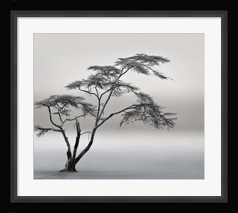 Framed Very Long Story Print