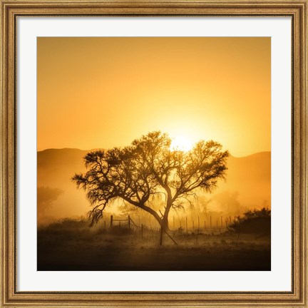 Framed Golden Sunrise Print
