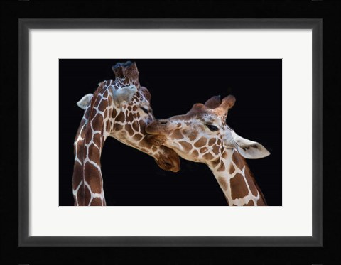 Framed Kiss Print