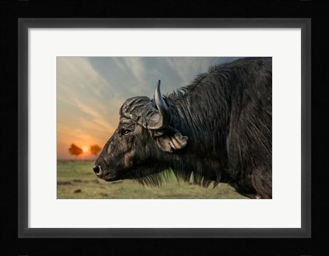 Framed Imagine Print