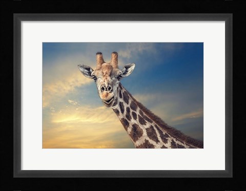 Framed Friendly Giant Print