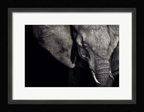 Framed Matriarch Print