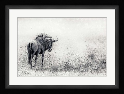 Framed Endless Grass-Fields Print