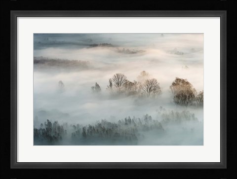 Framed Winter Fog Print