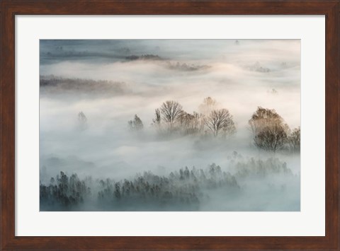 Framed Winter Fog Print