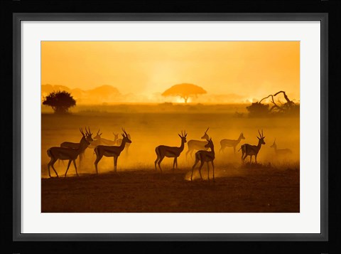 Framed Be Careful Print